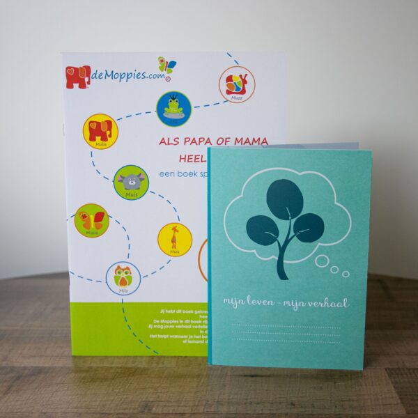 Boek 'Als papa of mama heel ziek is' - Afbeelding 2