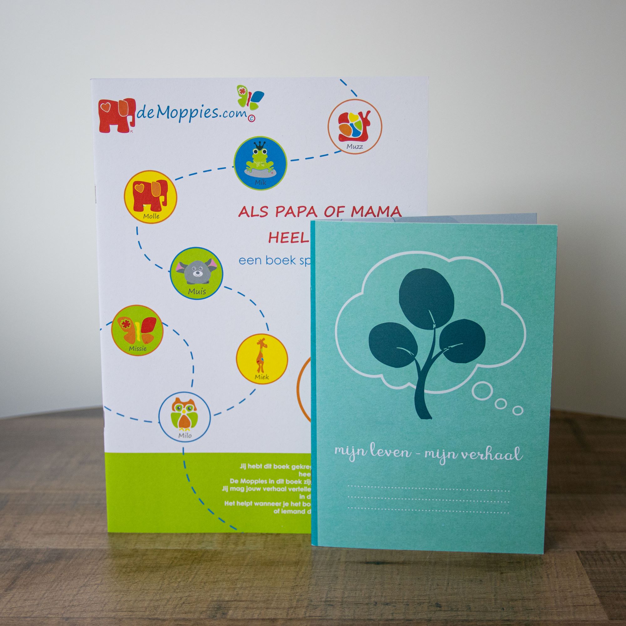 Boek 'Als papa of mama heel ziek is' - Afbeelding 2